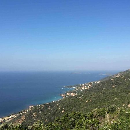 Ajaccio Magnifique T2 Neuf 40M2 Avec Balcon Au Trottel 4 Couchages Wifi Clim Parking Plage A Pieds 100M Exteriör bild