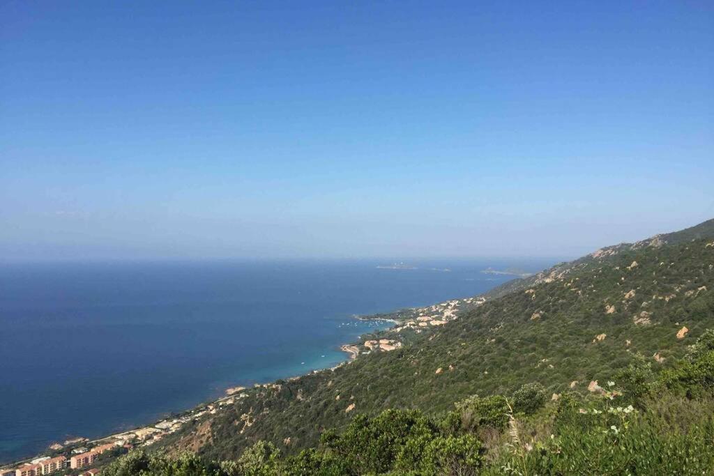 Ajaccio Magnifique T2 Neuf 40M2 Avec Balcon Au Trottel 4 Couchages Wifi Clim Parking Plage A Pieds 100M Exteriör bild