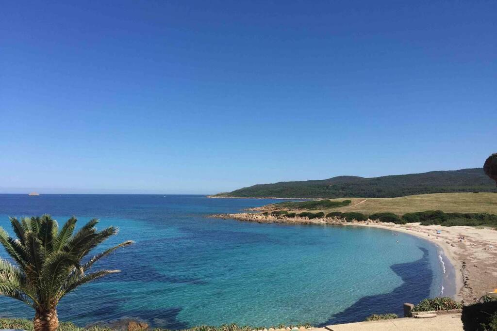 Ajaccio Magnifique T2 Neuf 40M2 Avec Balcon Au Trottel 4 Couchages Wifi Clim Parking Plage A Pieds 100M Exteriör bild