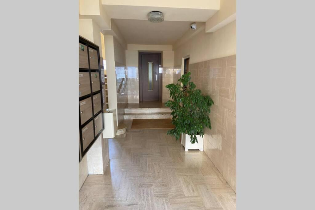 Ajaccio Magnifique T2 Neuf 40M2 Avec Balcon Au Trottel 4 Couchages Wifi Clim Parking Plage A Pieds 100M Exteriör bild