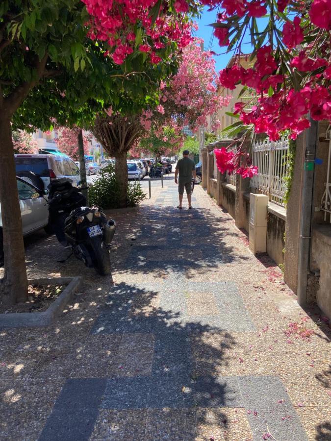 Ajaccio Magnifique T2 Neuf 40M2 Avec Balcon Au Trottel 4 Couchages Wifi Clim Parking Plage A Pieds 100M Exteriör bild