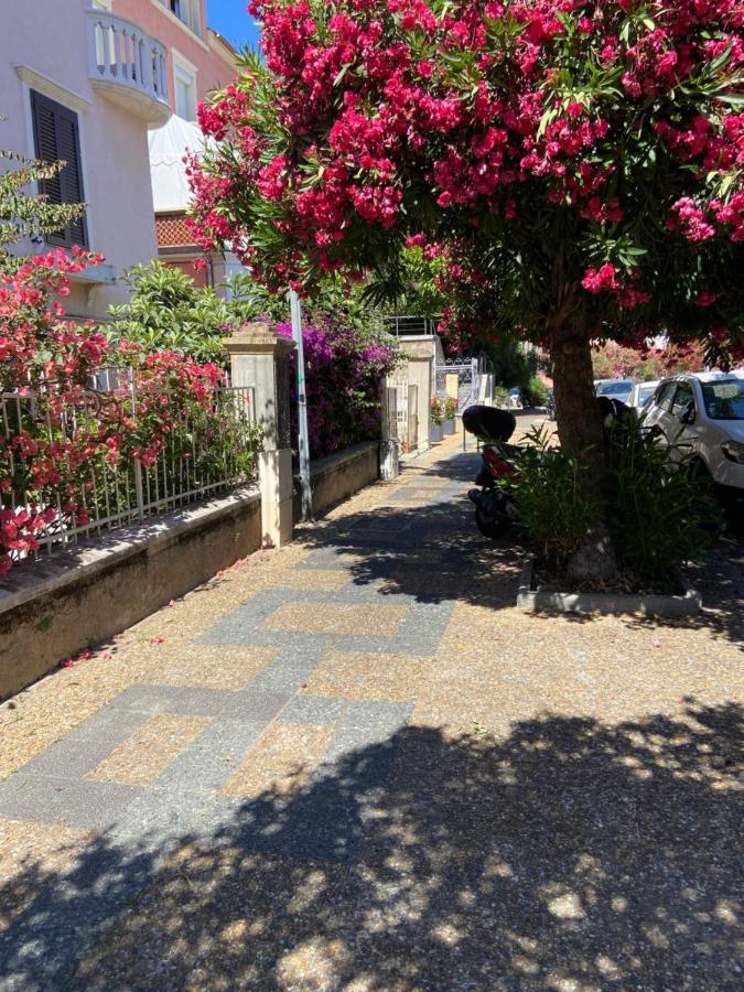 Ajaccio Magnifique T2 Neuf 40M2 Avec Balcon Au Trottel 4 Couchages Wifi Clim Parking Plage A Pieds 100M Exteriör bild
