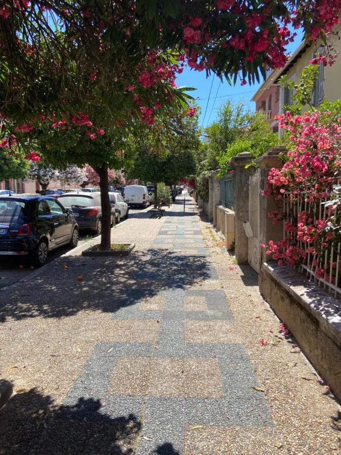 Ajaccio Magnifique T2 Neuf 40M2 Avec Balcon Au Trottel 4 Couchages Wifi Clim Parking Plage A Pieds 100M Exteriör bild